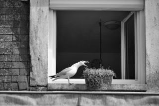 Porte-fenêtre aluminium : design, solidité et grand format